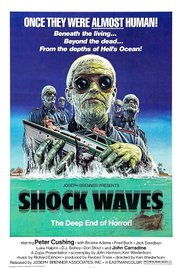 Shock Waves