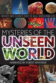 Mysteries of the Unseen World