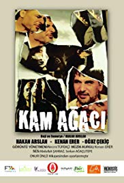 Kam Agaci