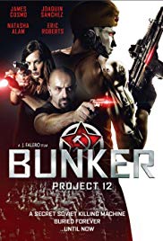 Project 12: The Bunker