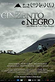 Cinzento e Negro