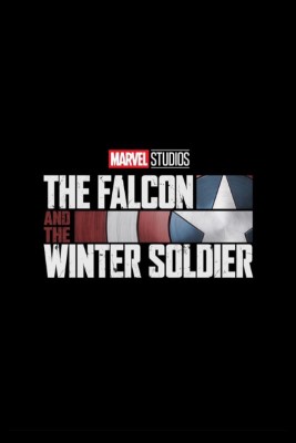 The Falcon and the Winter Soldier