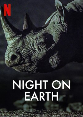 Night on Earth (Dizi)